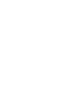 NZ silhouette white